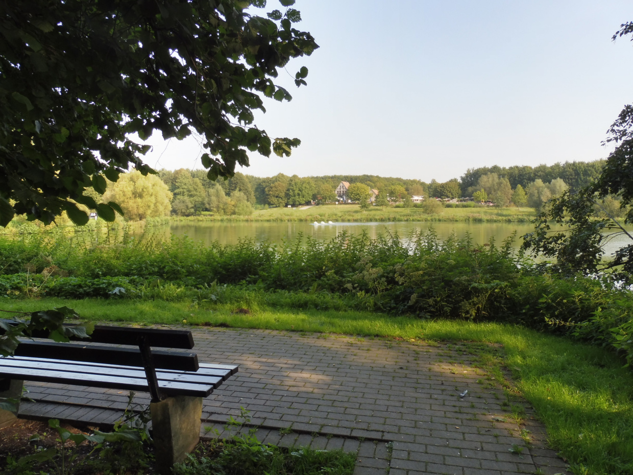 Blick auf Bank und Obersee