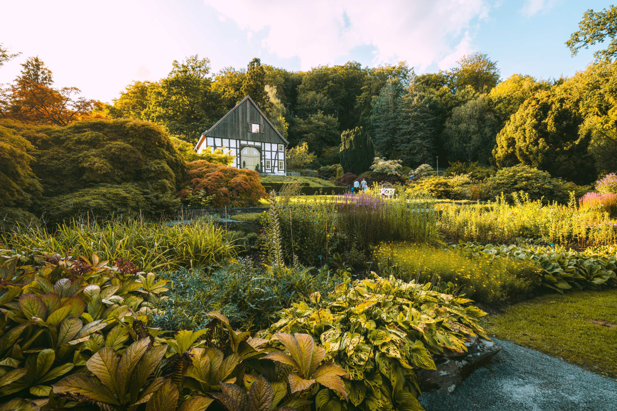 Fir Garden Grass Nature Outdoors Park Person Tree Vegetation