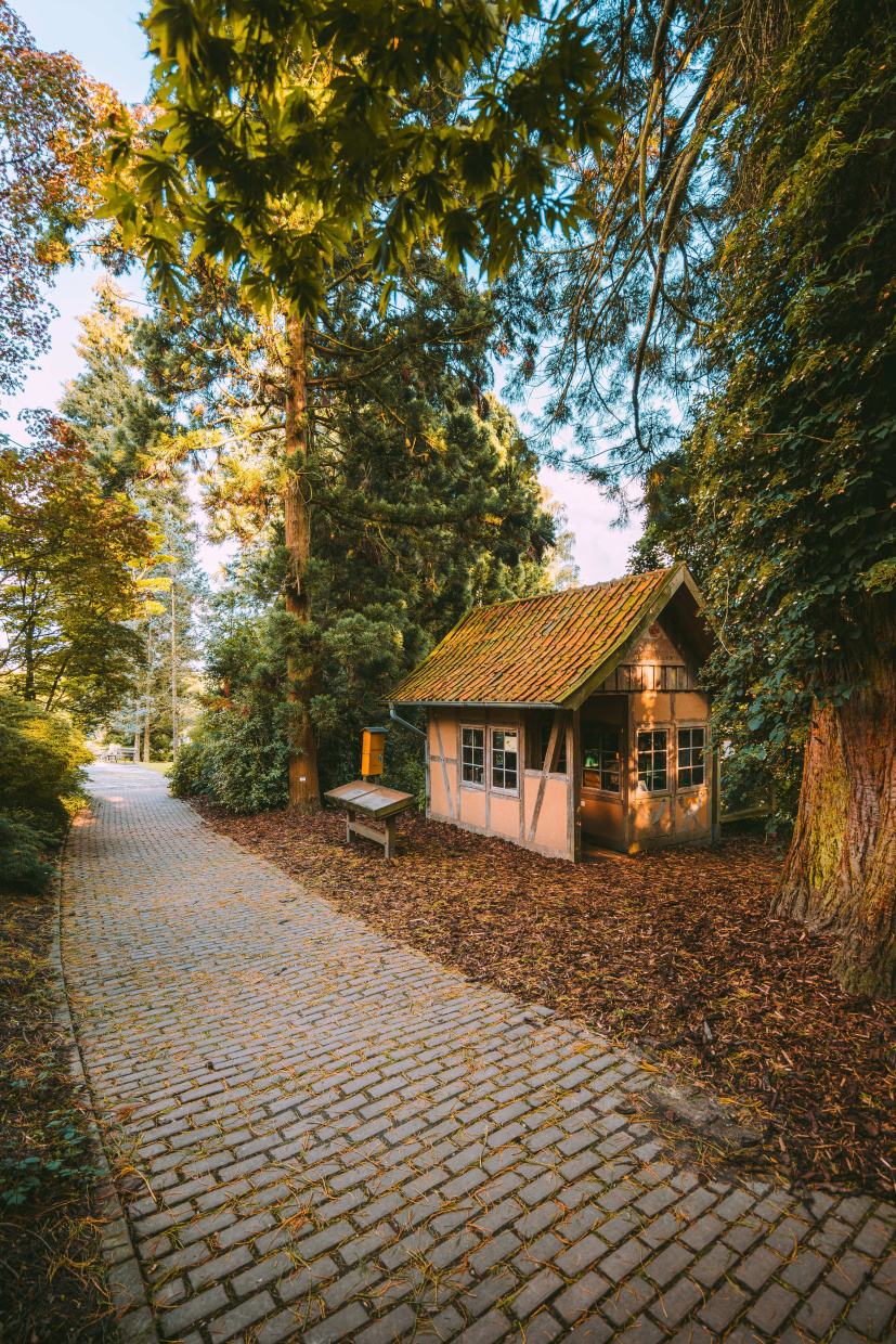 Architecture Building House Housing Path