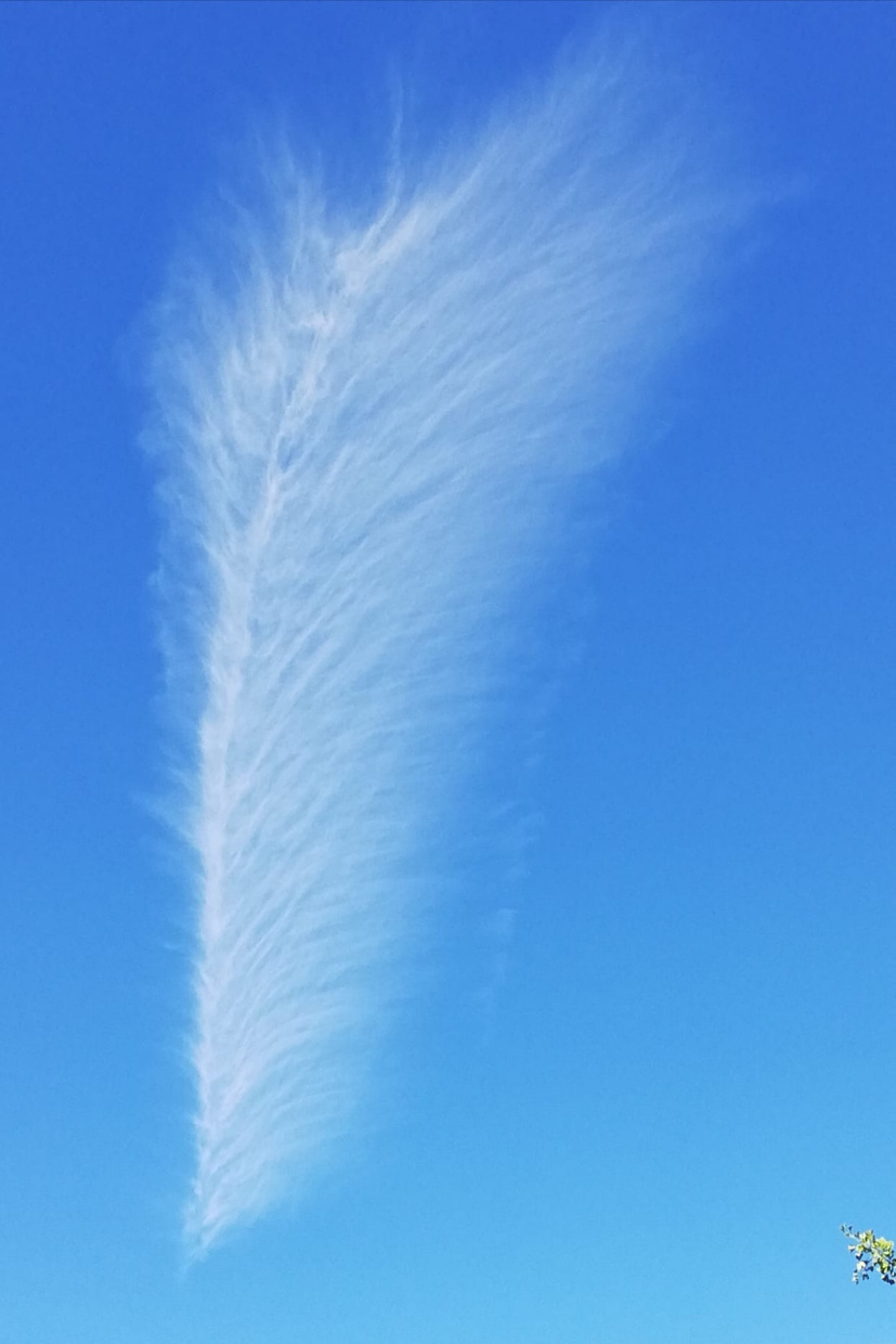 Wolke, die wie eine Feder im blauen Himmel zu sehen ist