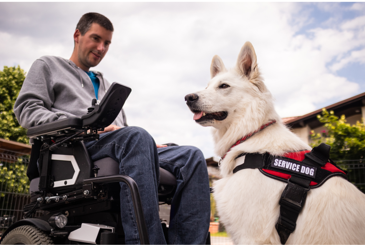 Ein Mann im Rollstuhl mit seinem Assistenzhund.