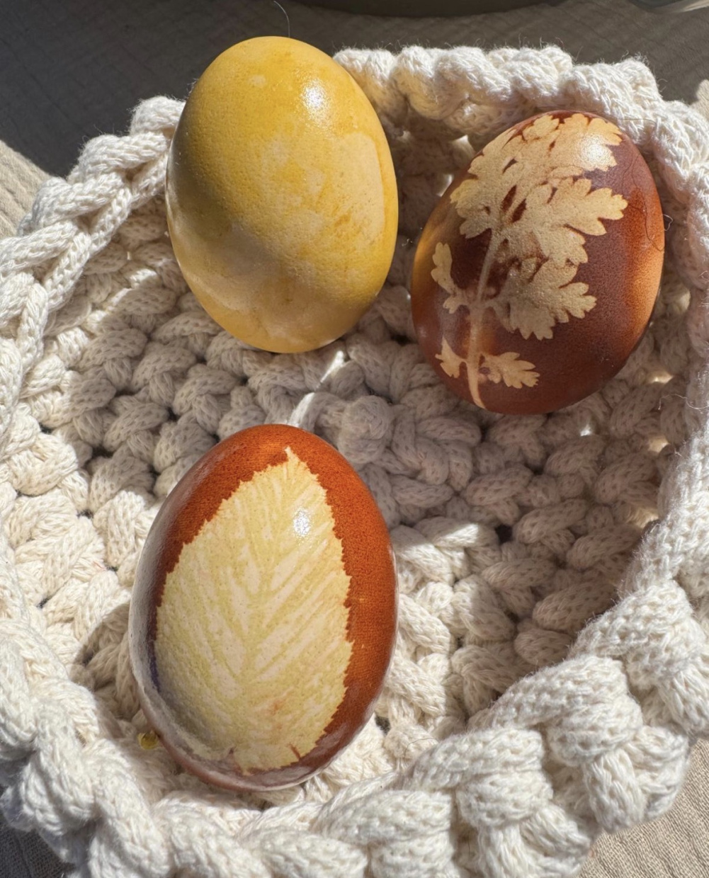 Zwiebelschalen und ein Blatt, magst du wissen wie es geht dann komm vorbei 