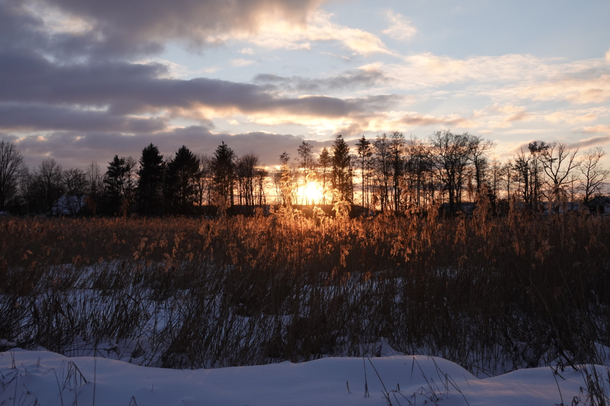 Abendstimmung NSG Rieselfelder Windel