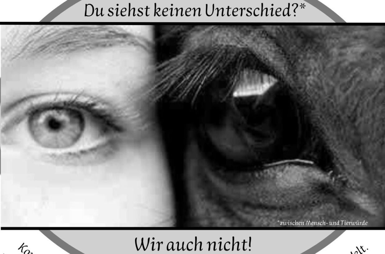 Ein menschliche und ein tierisches Auge nebeneinander