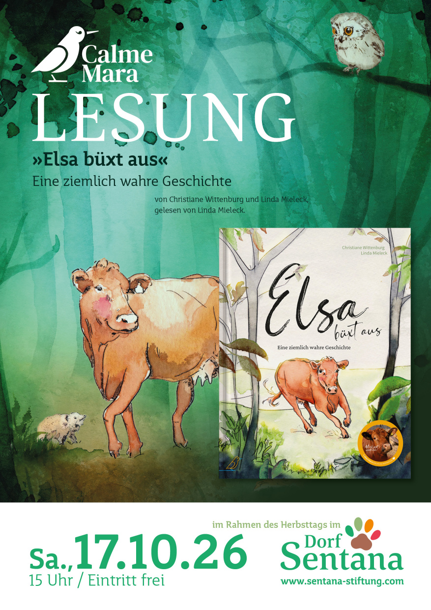Ein mit Illustrationen aus dem Buch gestaltetes Plakat zur CalmeMara-Lesung im Dorf Sentana 