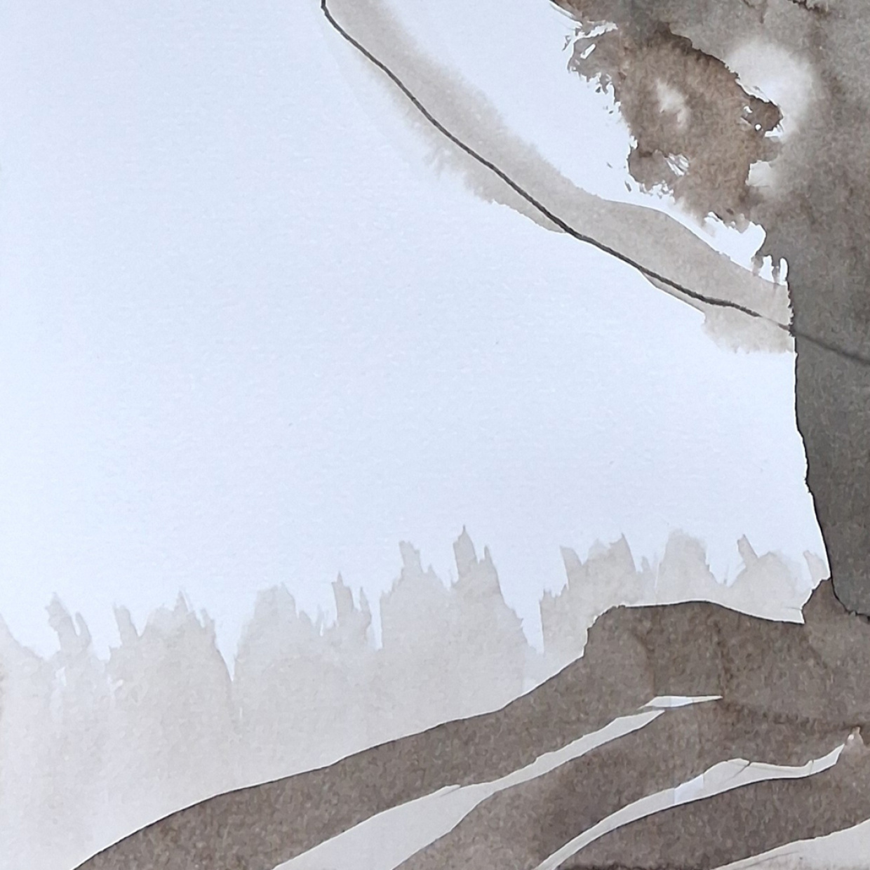 Ausschnitt einer Rohrfederzeichnung auf Papier von Ute Casarini