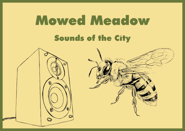 Mowed Meadow