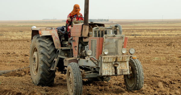 Frau auf dem Traktor erledigt die Arbeit auf dem Feld