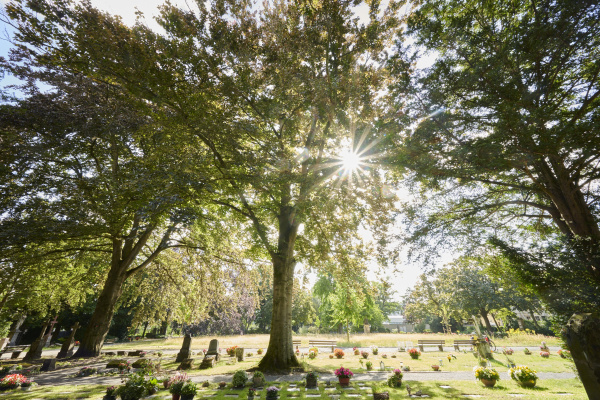 Der Alte Friedhof am Jahnplatz
