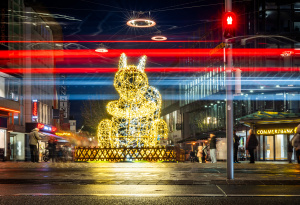 Lichttiere Bielefeld