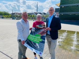 Programm run & roll City